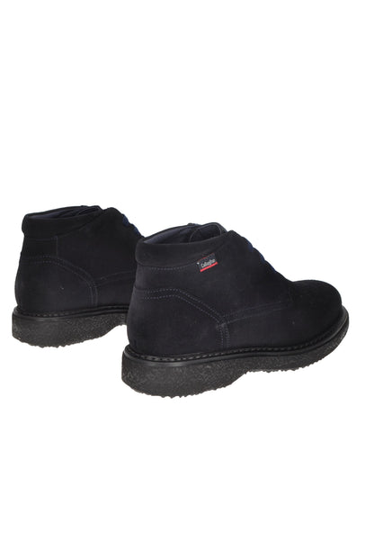 12302 Polacchino CALLAGHAN