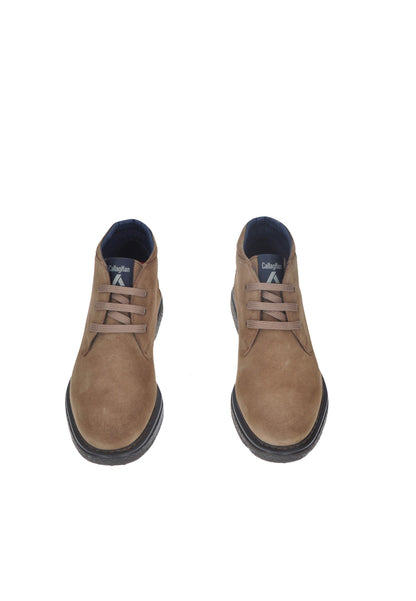 12302 Polacchino CALLAGHAN